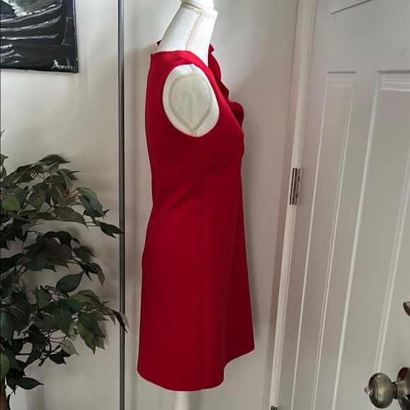 Jason Wu Collection Scarlet Ruffle Mini Dress - Picture 5 of 6